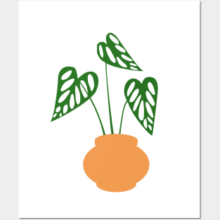 Monstera Leaves Posters and Art